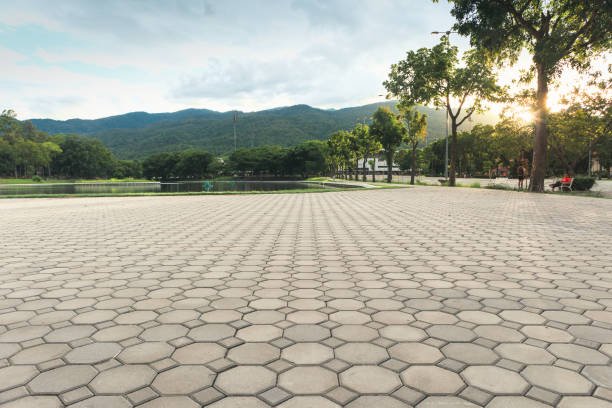 Best Professional Driveway Pavers  in Elephant Butte, NM