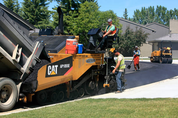 Best Interlocking Driveway Pavers  in Elephant Butte, NM